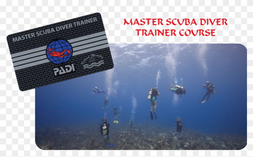 Master Scuba Diver Trainer Course Resize - Padi Clipart #2124090
