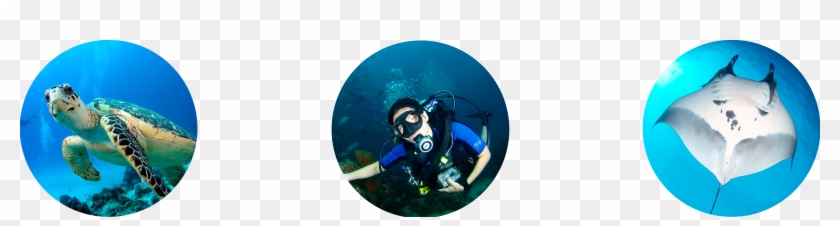 5315 X 1181 1 Clipart #2124336