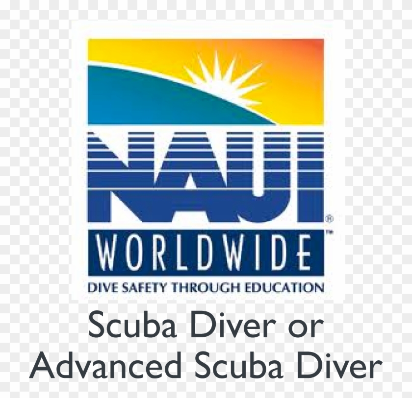 Multi-day Expedition, Visiting Sloth Island For Incredible - Poster Clipart #2124862