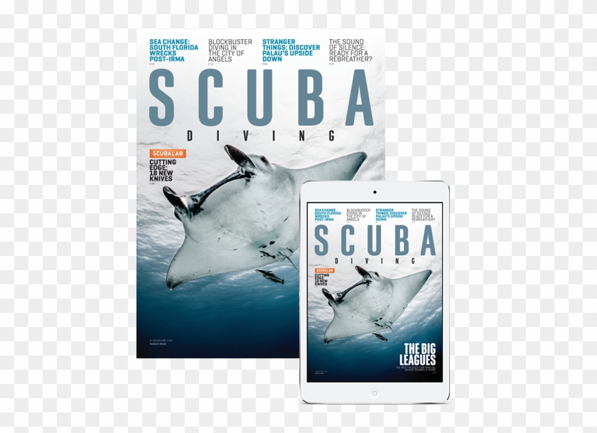 Subscribe To Scuba Diving - Great White Shark Clipart #2125204