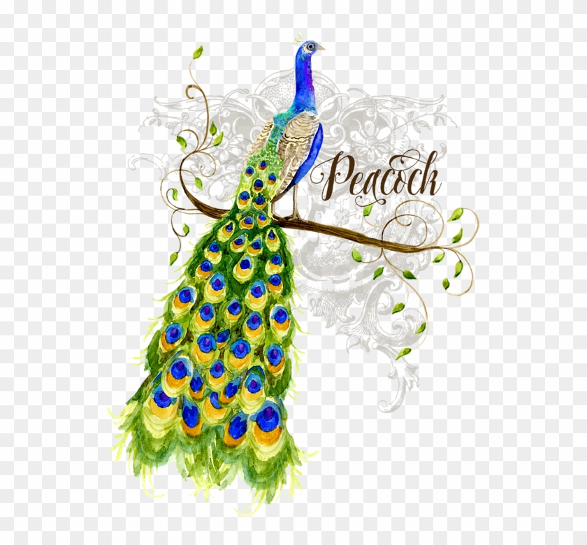Bleed Area May Not Be Visible - Peacock On Tree Painting Clipart #2125386