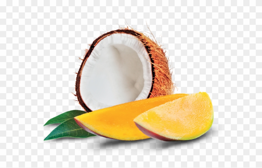 Coconut And Mango - Still Life Photography Clipart #2126151