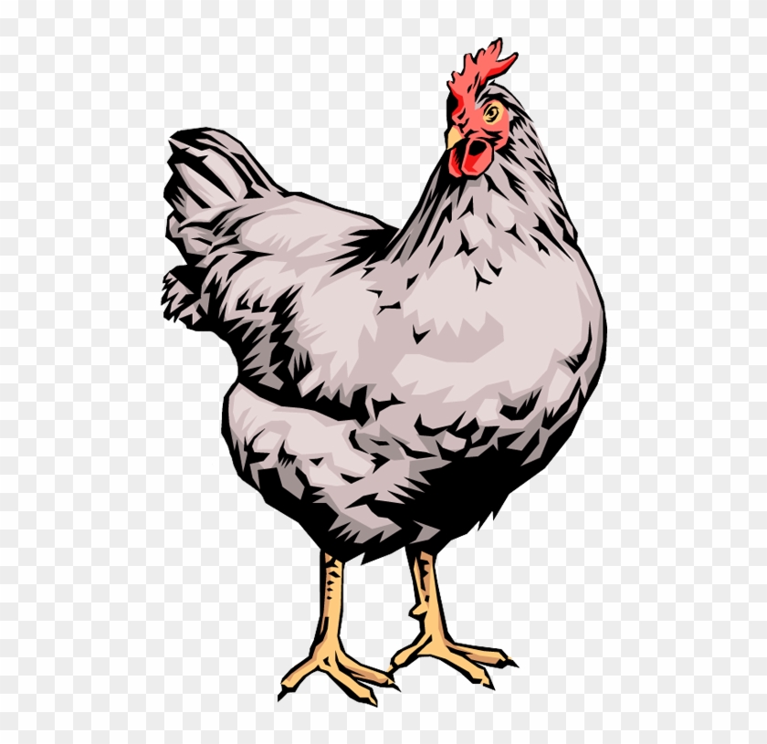 Quality Clip Art Of Animals That Live On A Farm - Chicken Live Clip Art - Png Download #2126346