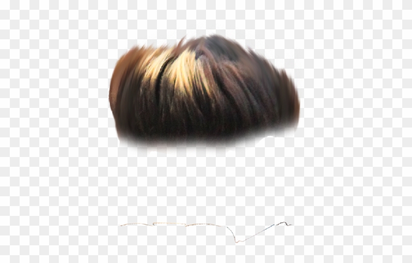 Hair Png ➤ Download - Insect Clipart