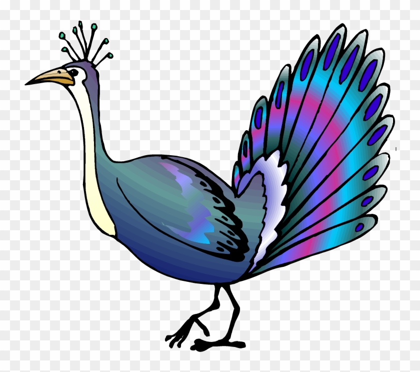 Download Free Printable Clipart And Coloring Pages - Gambar Animasi Merak - Png Download
