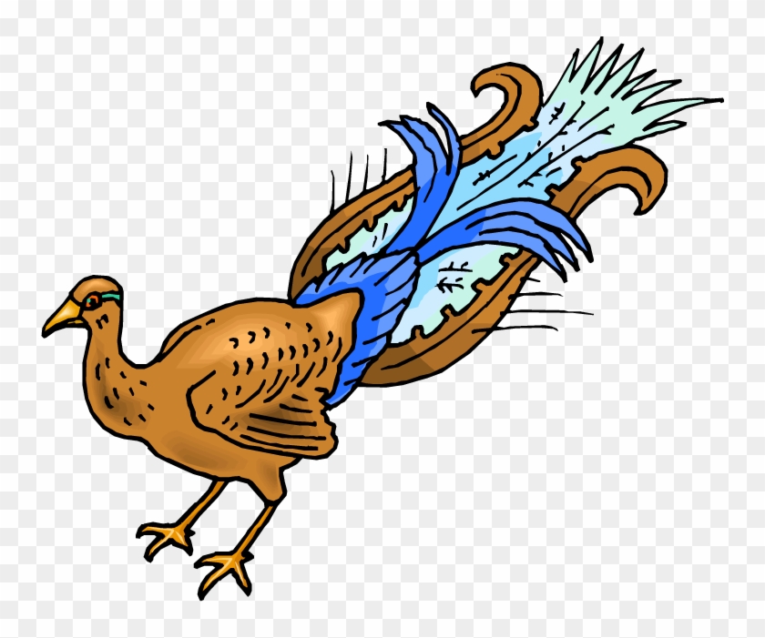 Peacock Clipart Female Peacock - Cartoon Peacock - Png Download