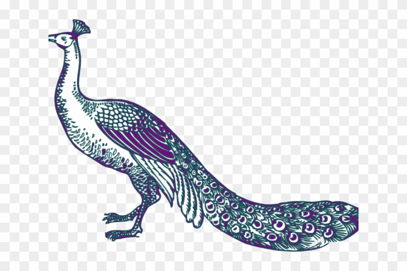 Peacock Clip Art - Png Download #2127326