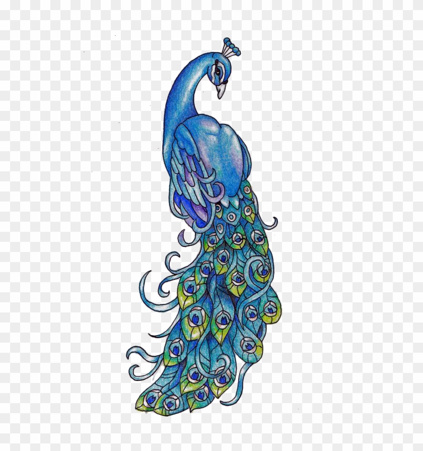 Draw N Colour Peacock Clipart