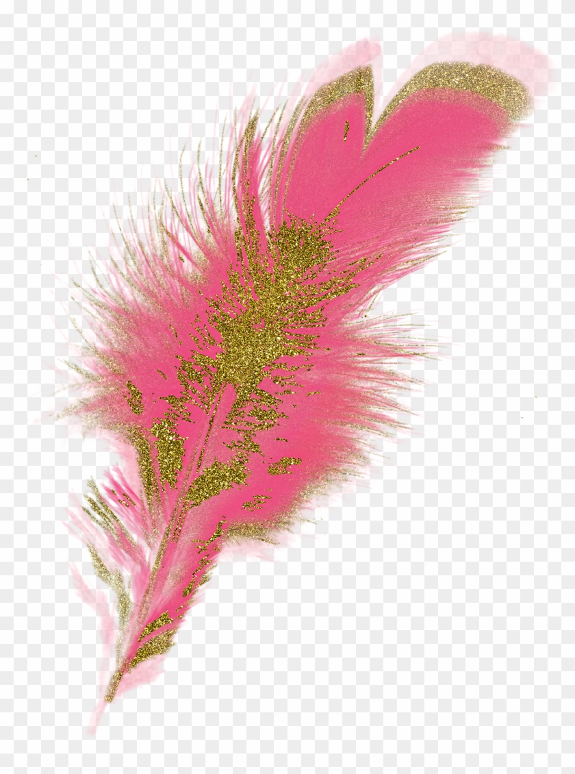 Peacock Clipart Glitter - Bottlebush - Png Download #2127470