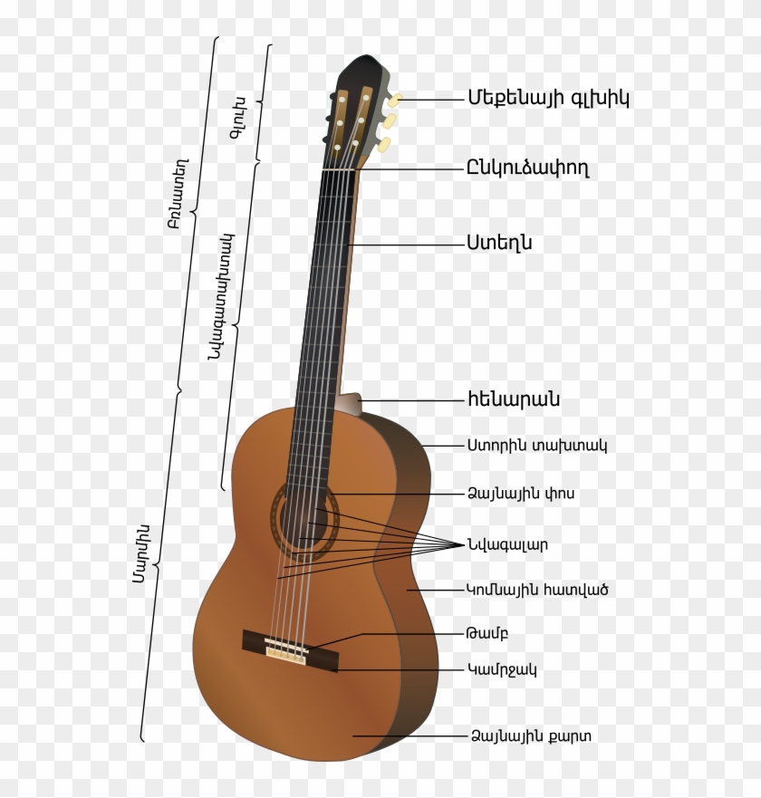 Acoustic Guitar - Guitarra Partes Clipart #2127513