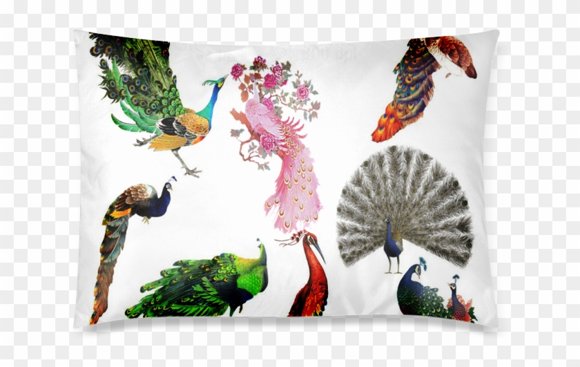 Peacock Clipart Custom Zippered Pillow Cases 20"x30" - Peacock Clipart - Png Download #2127723