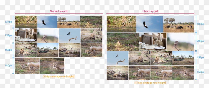 Comparison Between Layout Approaches, Given A Target - Seabird Clipart #2127910