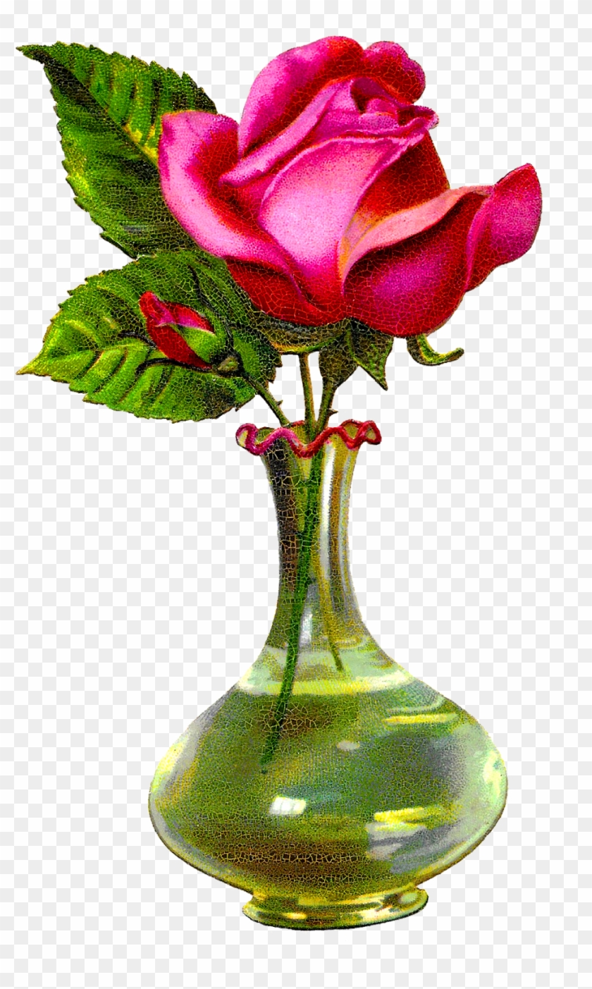 Digital Download Shabby Chic Pink Rose Floral Flower - Rose Flower With Vase Clipart #2128390