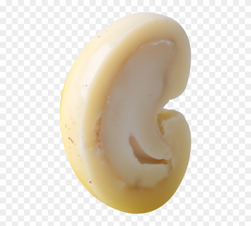 Home - Circle Clipart