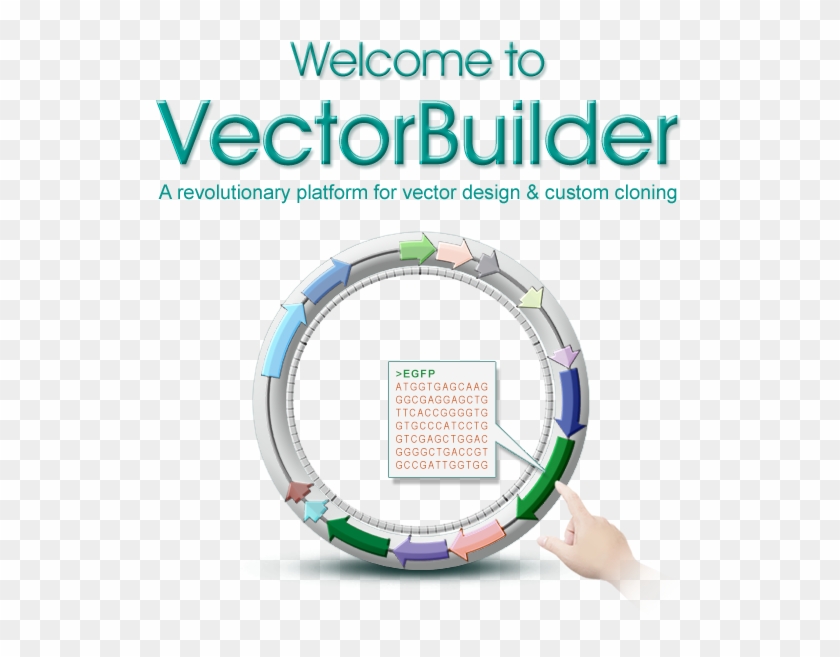Vectorbuilder In 99 Seconds - Circle Clipart
