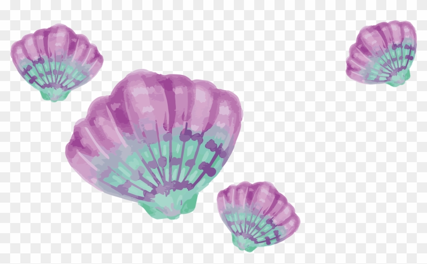 Painting Drawing Download Purple - Purple And Turquoise Shells Clipart