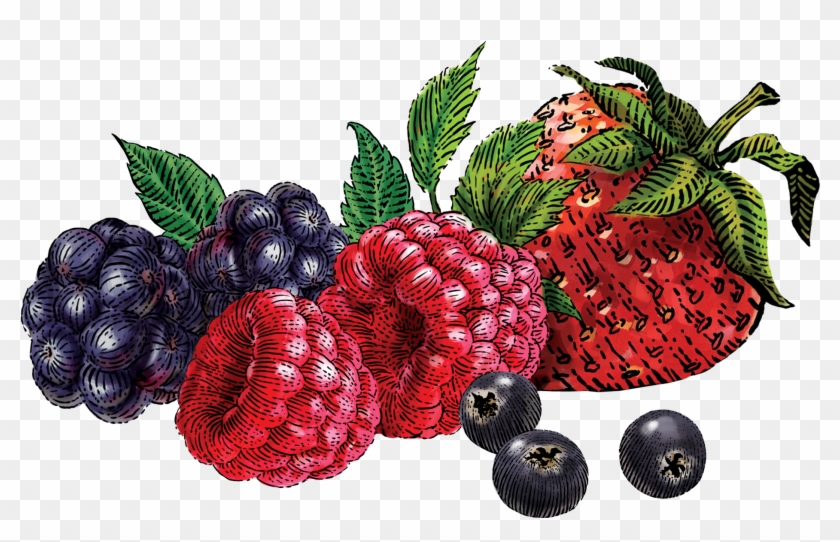 Berries Png - Mixed Berry Clipart #2131522