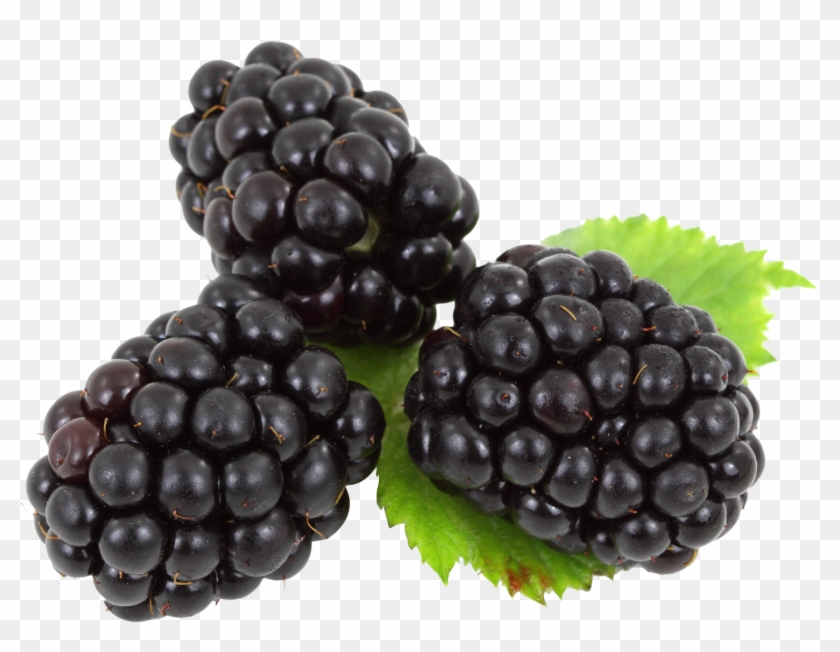 Blackberry With Leaves - Blackberries Png Clipart #2131551