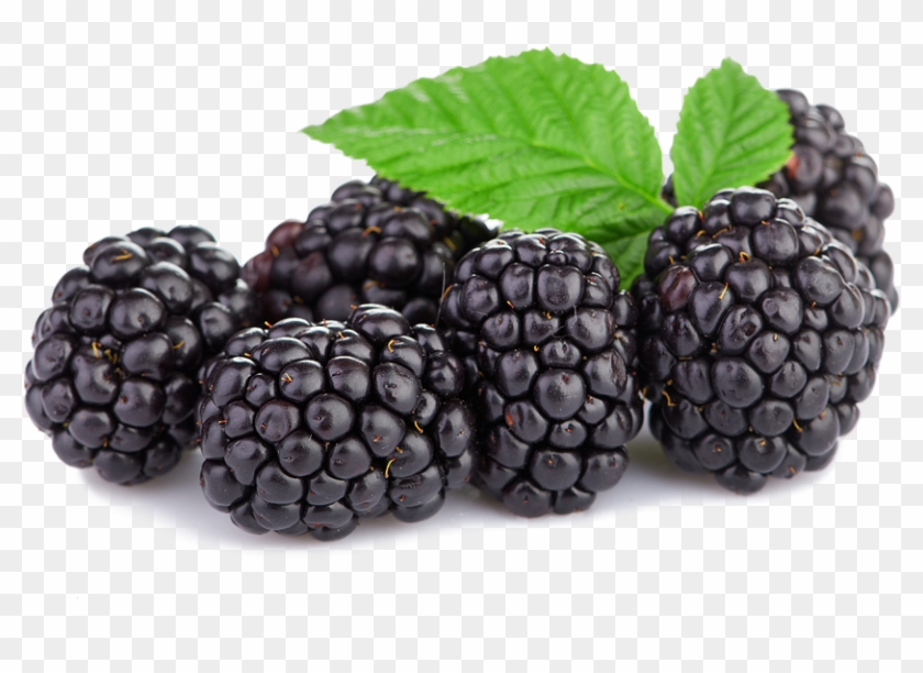 Triple Crown Blackberries - Transparent Boysenberry Png Clipart