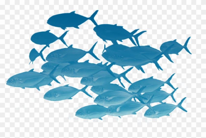 Read More › - Vector Fishes Png Clipart #2131885