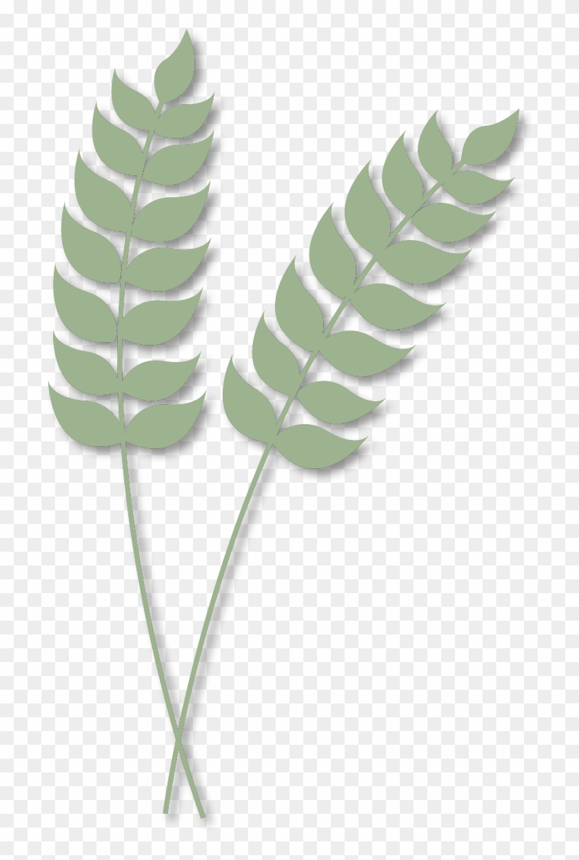 Laboratory Organization And Management In Agricultural - Ostrich Fern Clipart #2132581