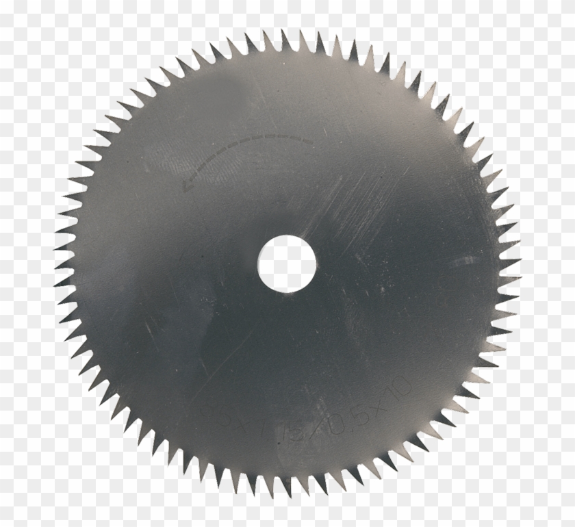 Sawmill - Seal Of Biliteracy Iowa Clipart #2132610