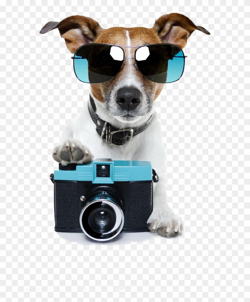 Casey Neistat - Perro Con Camara Png Clipart