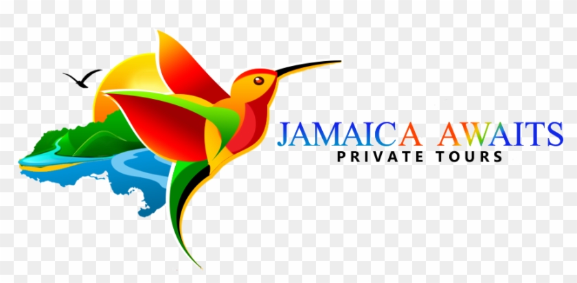 Jamaica Awaits Private Tours - Ruby-throated Hummingbird Clipart