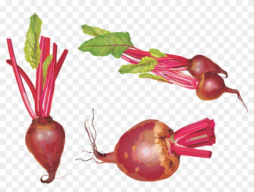 Beet Png Clipart #2133675