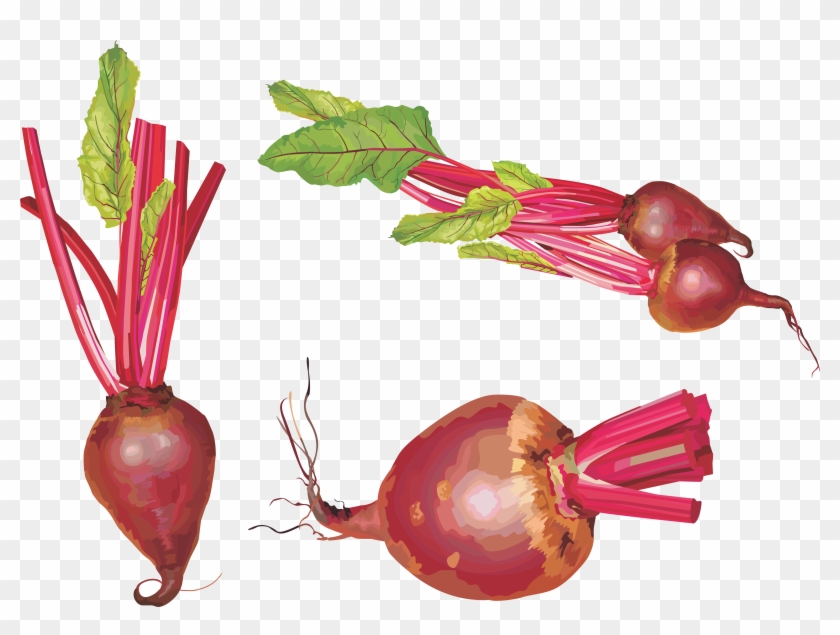 Beet Png Clipart