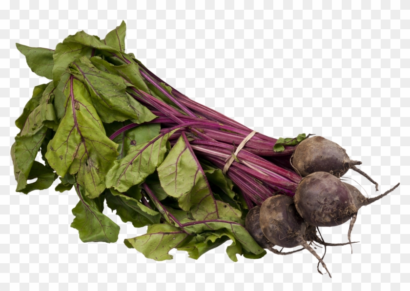 Free Png Download Beet Png Images Background Png Images - Beet Seed Sprouts Clipart #2133798