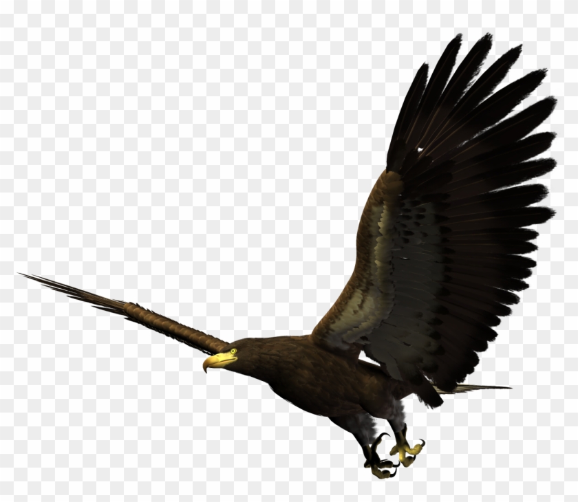 Bald Eagle Bird Flight - Eagle Flying Png Clipart #2134306