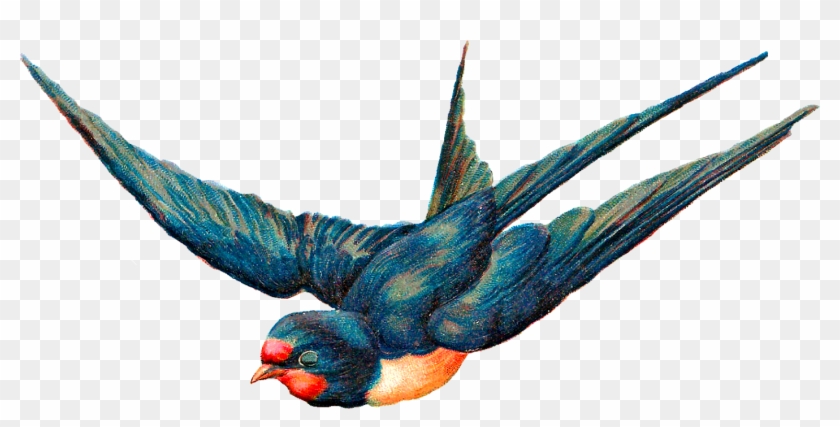 Free Digital Blue Bird In Flight Animal - Illustration Clipart #2134410