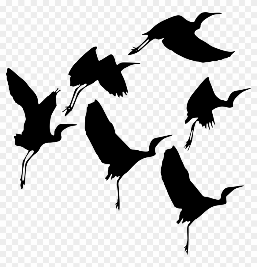 Silhouette Bird Fly - Burung Terbang Png Clipart