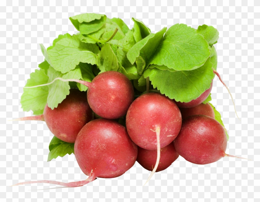 Fresh Radish Png Image - Red Radish Png Clipart