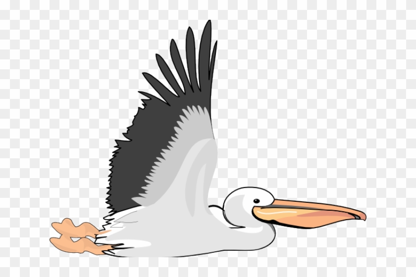 Flying Pelican Clip Art - Png Download #2135222
