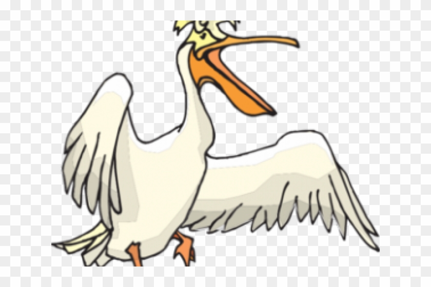 Flight Clipart Pelican - Pelikan Clipart - Png Download