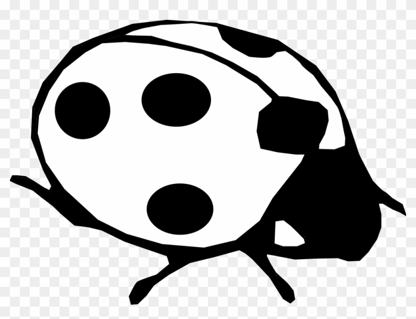 Ladybug Clipart Line - Real Ladybugs Black And White - Png Download