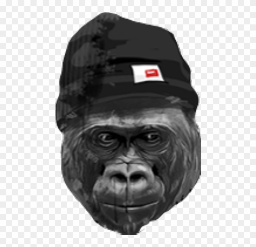 Gorilla Clipart
