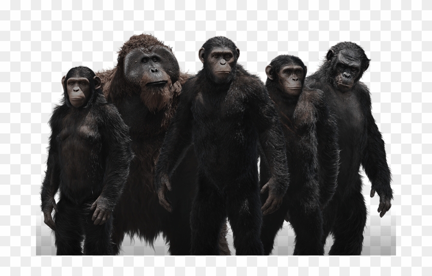 Ape Png - Planet Of The Apes Png Clipart #2136129
