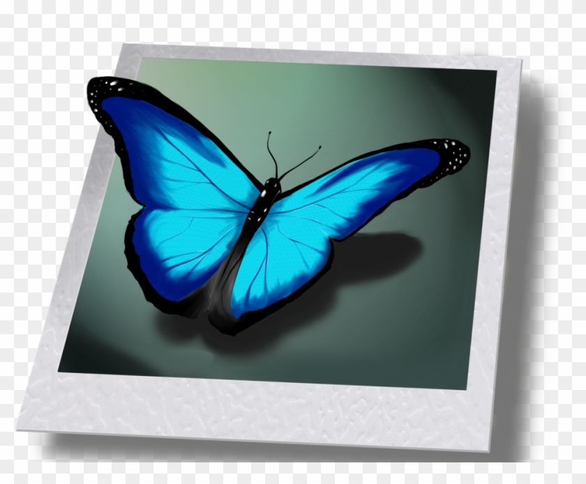 Life Is Strange Png - Butterfly From Life Is Strange Clipart #2136410