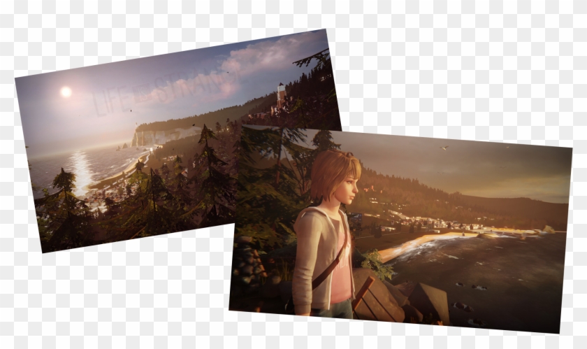 Life Is Strange Png - Painting Clipart