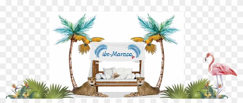 Shop - Attalea Speciosa Clipart