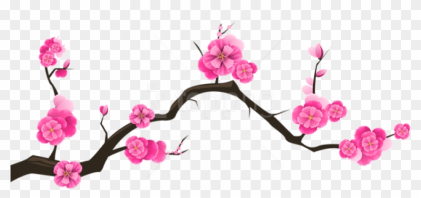 Free Png Download Sakura Branch Transparent Png Images - Transparent Background Cherry Blossom Clip Art #2138222