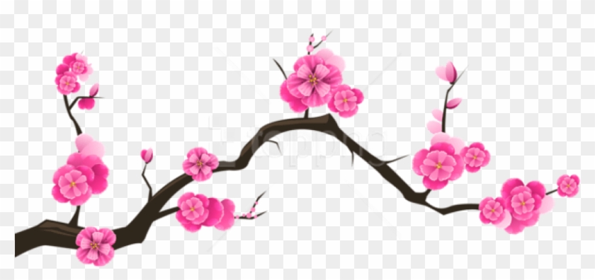 Free Png Download Sakura Branch Transparent Png Images - Transparent Background Cherry Blossom Clip Art