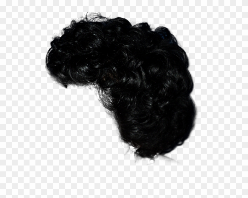 Editando Photoshop - Cabelos-png - Lace Wig Clipart
