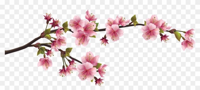 Vector Bunga Sakura Png Clipart #2138628