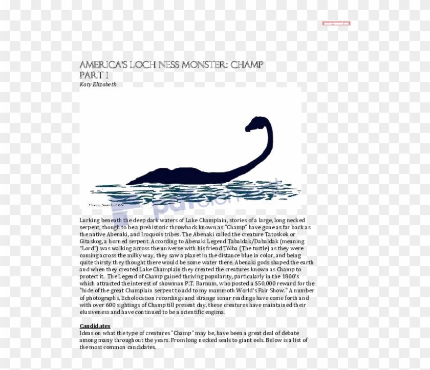 Pdf - Invertebrate Clipart #2139869