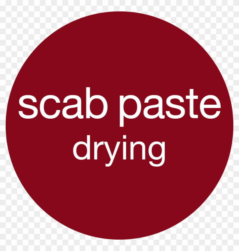 Our Products - Chro Summit Clipart #2139981