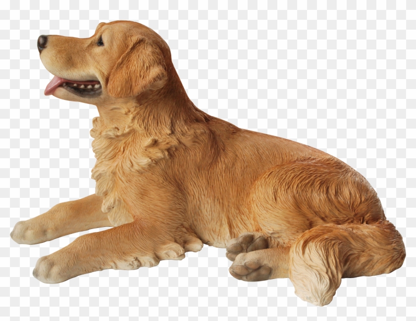 Vivid Arts Resin Lying Golden Retriever - Golden Retriever Transparent Laying On Back Clipart